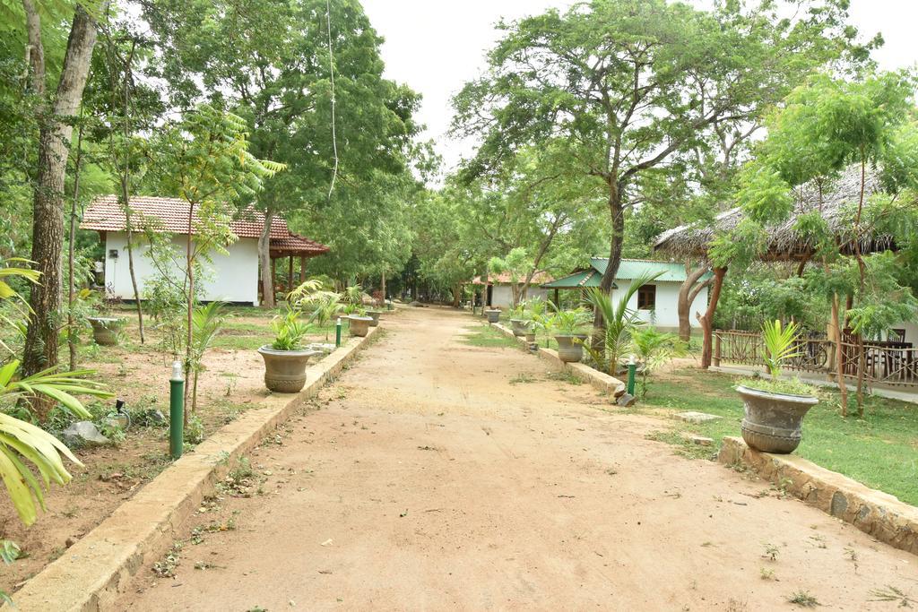 King'S Elephant Cabanas & Restaurant Tangalle Ngoại thất bức ảnh