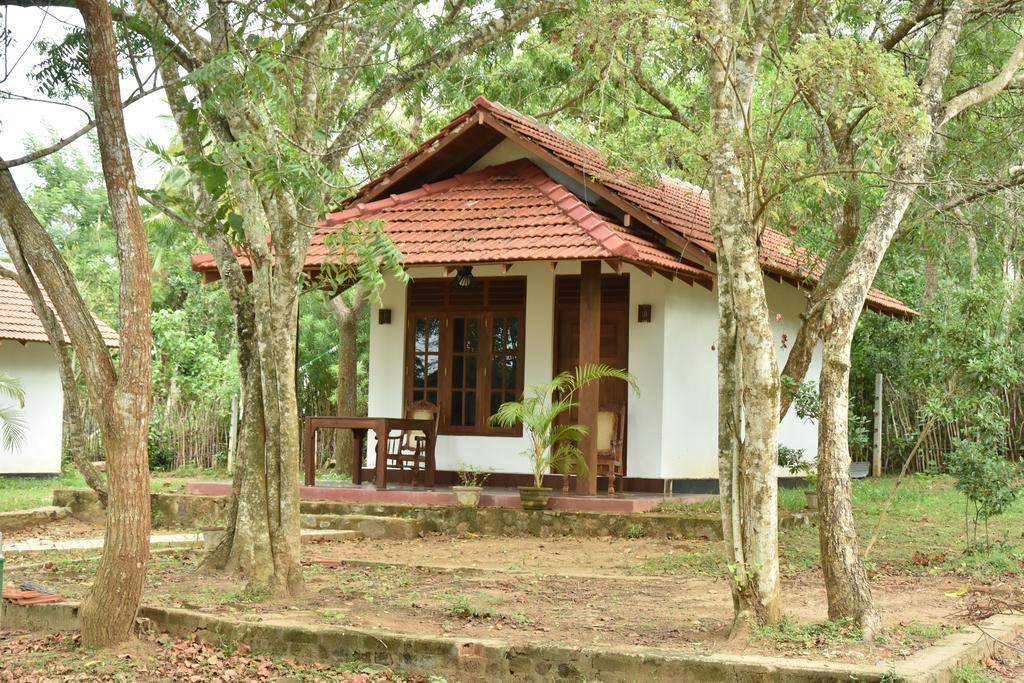 King'S Elephant Cabanas & Restaurant Tangalle Ngoại thất bức ảnh